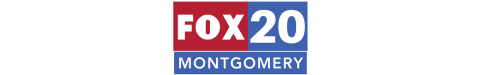 Page Logo